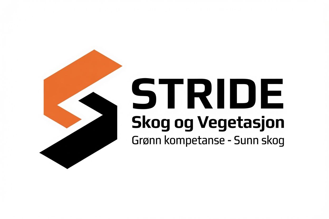 Stride – Kvalitet i hvert skritt