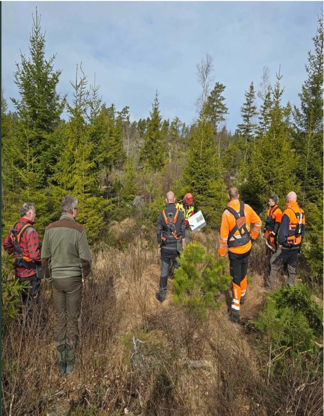 Stride Skog og Vegetasjon – karriere